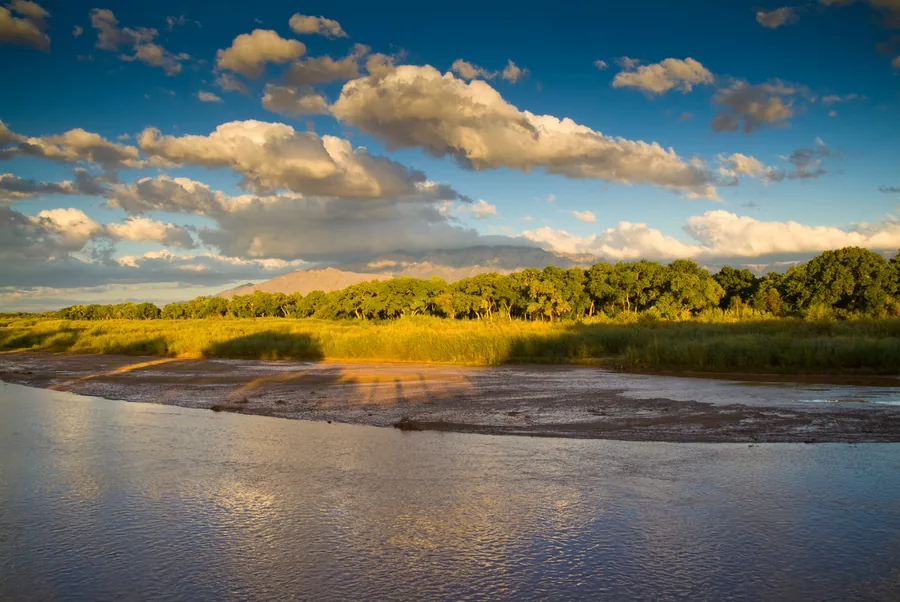 New Mexico